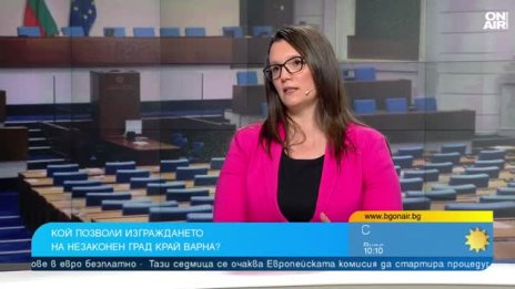 Александра Стеркова, ДБ: Няма невинни по веригата &ldquo;Баба Алино&rdquo;