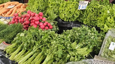 С 20-30% под средното за света е производството на зеленчуци у нас