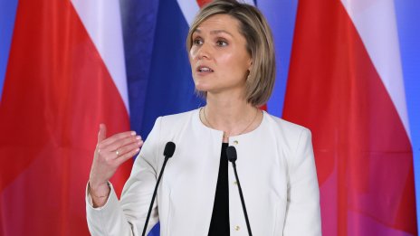 Исландия ще проведе референдум за членство в ЕС през следващите месеци