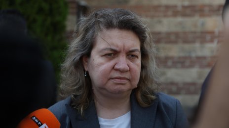 Киселова за коалицията: Ние сме съдружници по неволя