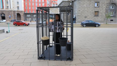 В кадър: Доброволци ще седят в клетка цяла седмица пред Народното събрание
