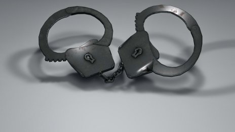 Българи са арестувани в Гърция за нелегален внос на пестициди