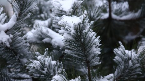 Дъжд, сняг и поледици днес, нахлува студен въздух