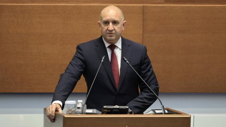 Радев: Митрофанова увери, че Русия няма информация за ударите по корабите в Черно море