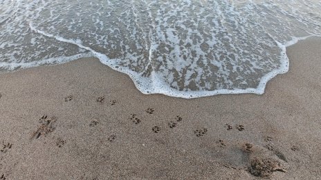 Рускиня се удави на неохраняем плаж край Иракли