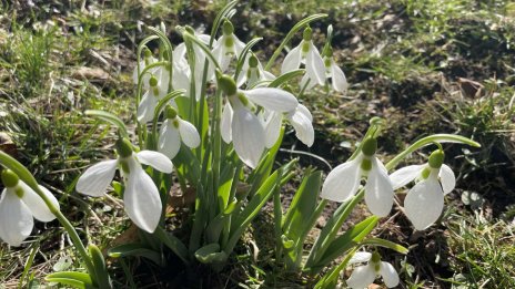 Утре последно слънце преди валежите от дъжд и сняг
