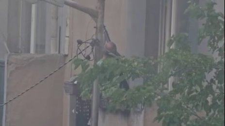 Мъж е стрелял с пушка от тераса в столичния квартал "Сухата река" ВИДЕО