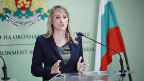Екоминистърът коментира  Баба Алино: Разкри незаконна дига край Струма
