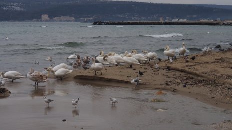 Кратко затопляне и температури до 12&deg; в четвъртък