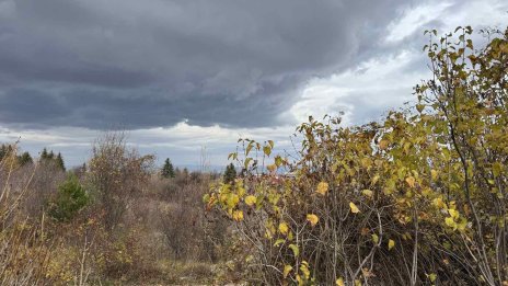 Пожарникарите са реагирали на общо 159 сигнала заради силния вятър