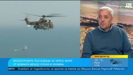 Черно море и война: Загинала е черната мида на дъното на морето 