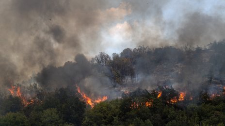 ЕС праща 4 хеликоптера и два екипа в Сърбия заради пожарите