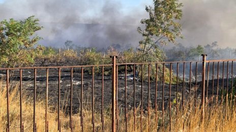 Пожарът край Асеновград обхвана над 6000 декара, вече е овладян