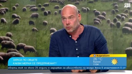 Шарката по овцете се разраства: Ваксините са купени, но не се прилагат