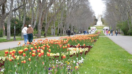 Пролетен ден: Слънчево и тихо ще е утре