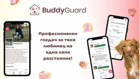 Пътуване по празниците, кой ще се грижи за домашния ми любимец?