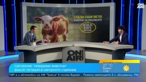 Сдружение “Невидими животни” настоява за забрана на клетките за телета