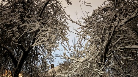 Времето днес: облачно, с валежи от дъжд и сняг