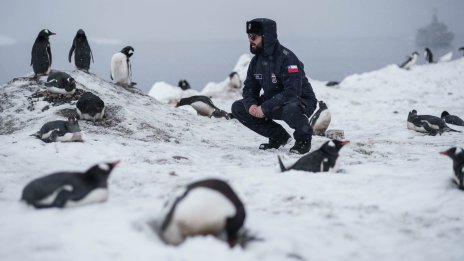 Нови данни за загадката: защо е замръзнала Антарктида при по-топло време от днешното?