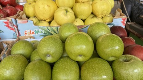Чай, горски плодове, ябълки... продукти, които удължават живота