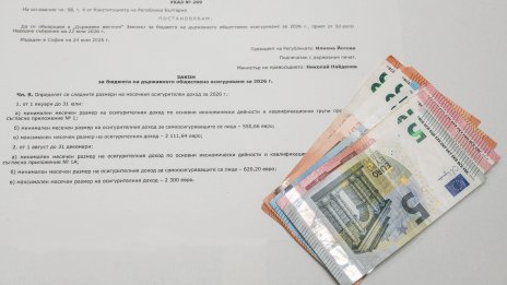 Какво работят хората, които се осигуряват на максималния осигурителен доход?