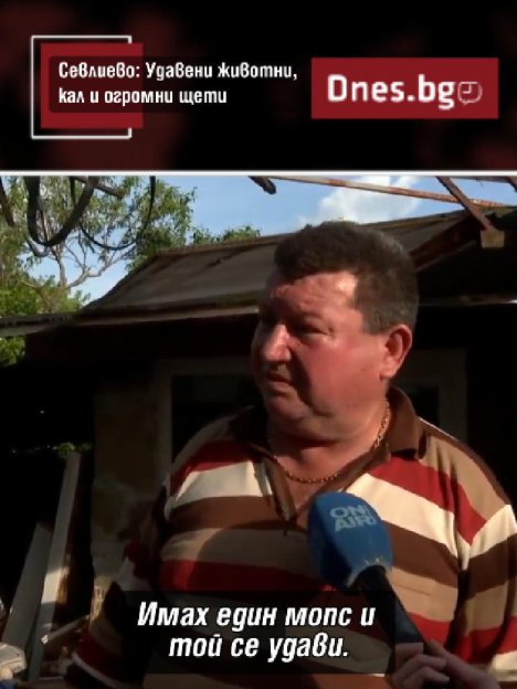 Севлиево след пороя: Удавени животни, кал и една жертва