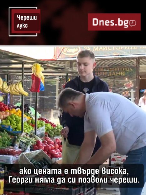 Черешите станаха лукс, често само ги миришем