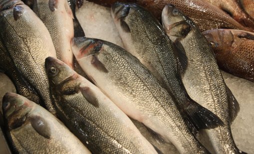 Засилени проверки за произхода и качеството на рибата преди Никулден