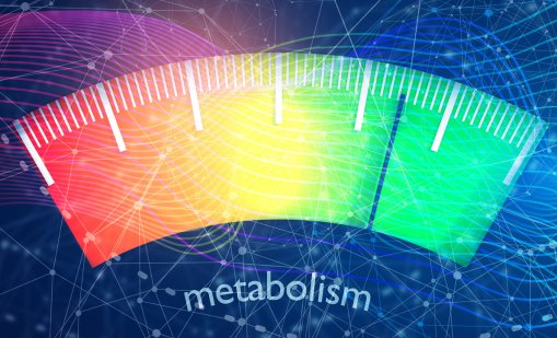 5 начина да забързате метаболизма без глад
