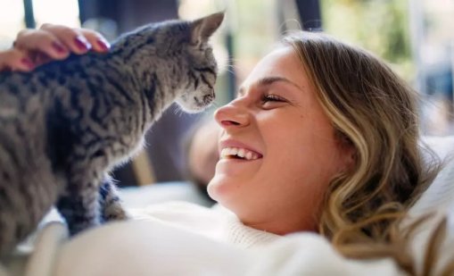 Ключът към лечението на рака може да се крие в котките