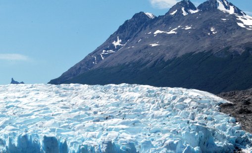 Антарктически микроби оцеляват при температури от минус 75&deg; 