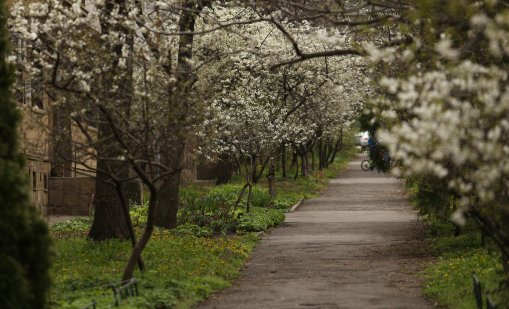 Времето се обръща утре: чакат ни валежи, на места и градушки