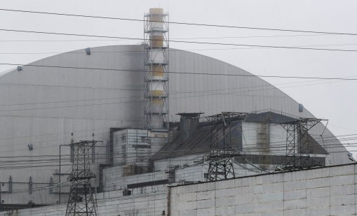 Чернобилската гъба, която сякаш живее от радиация