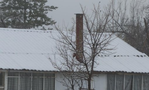 Сняг в Перник и Радомир, студ застрашава овошките СНИМКИ/ВИДЕО