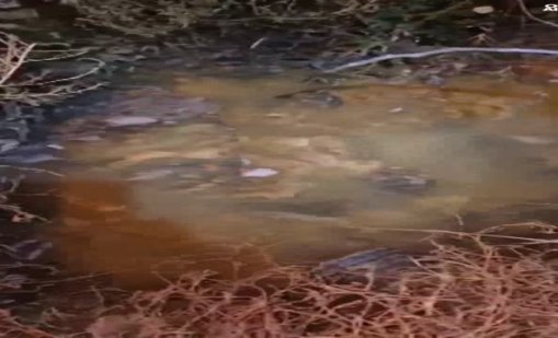 Сигнал за отпадни води край блок в &ldquo;Малинова долина&rdquo; ВИДЕО