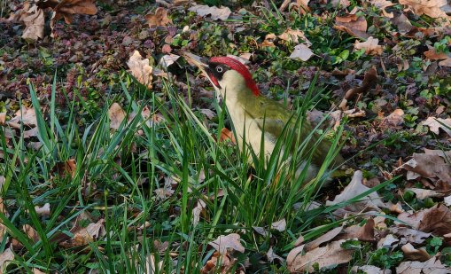 Слънчево и топло ще е днес, температурите ще са до 18&deg;