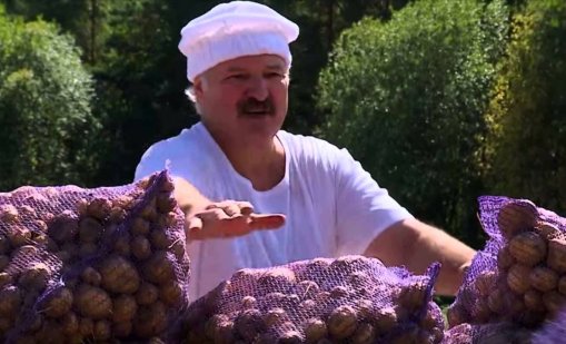 Русия остана без картофи, Лукашенко започна да ги вади с голи ръце на полето СНИМКИ