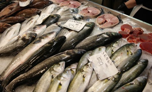 От 5 до 45 лева: Колко ще струва рибата за Никулден? 