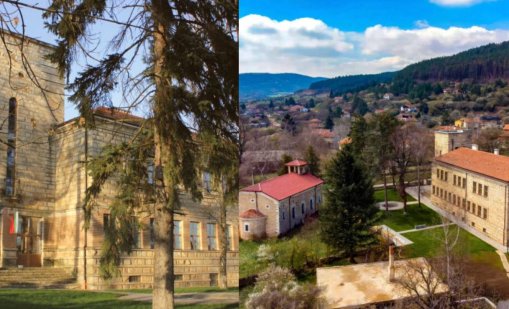 От ЧСУ "Космос" цял месец не сигнализирали, че 15-годишната жертва не ходи на училище