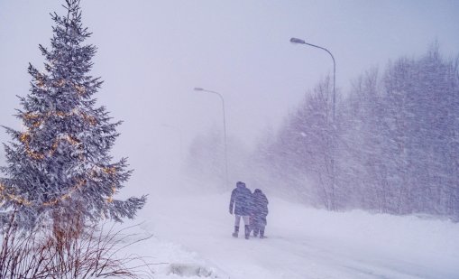 Зимна буря в Швеция остави десетки хиляди домакинства без ток