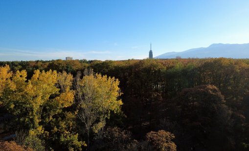Тихо и слънчево време ни очаква в четвъртък, сутринта на места ще има мъгли