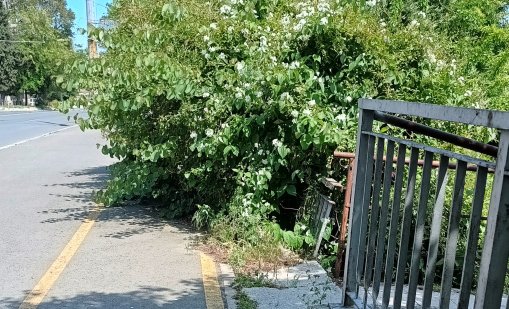 Бургас се готви за туристите: Велоалеи в храсти и пътища в кал