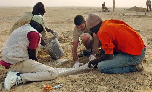 Откритие на седем милиона години: Двукрака маймуна може да е първият предшественик на човека