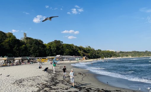 Синоптик: Следващата седмица се очаква дъжд и гръмотевични бури 