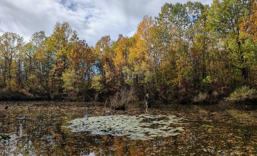 Топъл и слънчев ще е първият ден на ноември