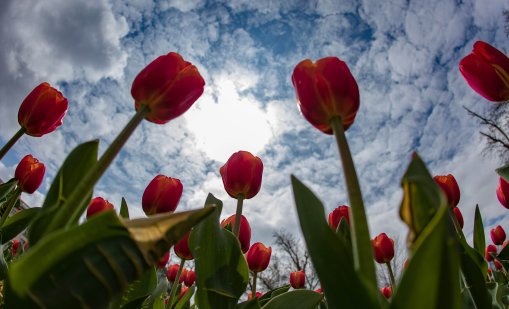 Очаква ни слънчев уикенд, градусите до 15