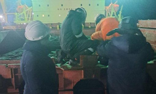 Идват още 12-14 кораба с опасен слънчоглед, има опасност от токсично олио