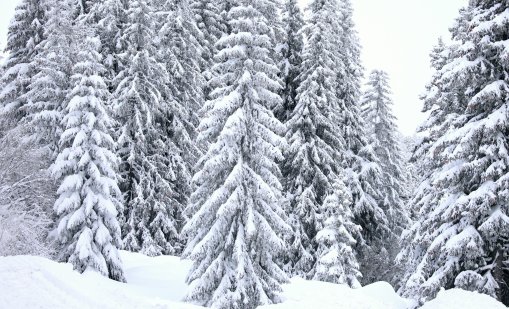 Отново мразовит ден, обявен е жълт код за студ в Северна България