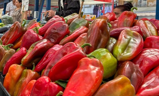 На борсите: Скок на цените на домати, краставици и чушки