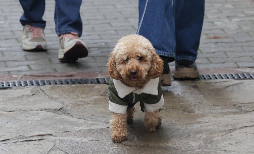 Облачно време в сряда, в следобедните часове ще превали